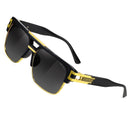 Polarized Pilot 24080