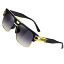Polarized Pilot 24080