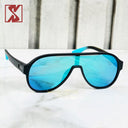 Oversized Polarized Pilot #24065